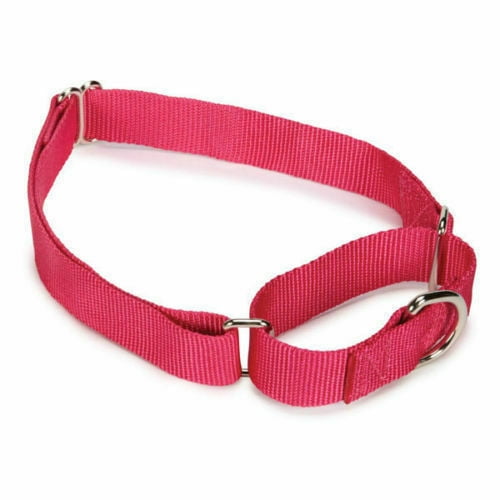 Martingale Dog Collars Adjustable Nylon Choke No Pull Training Pick