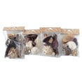 thumbnail image 1 of Pot Pourri Remplisseurs (Assorties) - Set of 4, 1 of 1