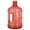 Red, variant on Geo sports bottles 128 oz Red Plastic Water Bottle