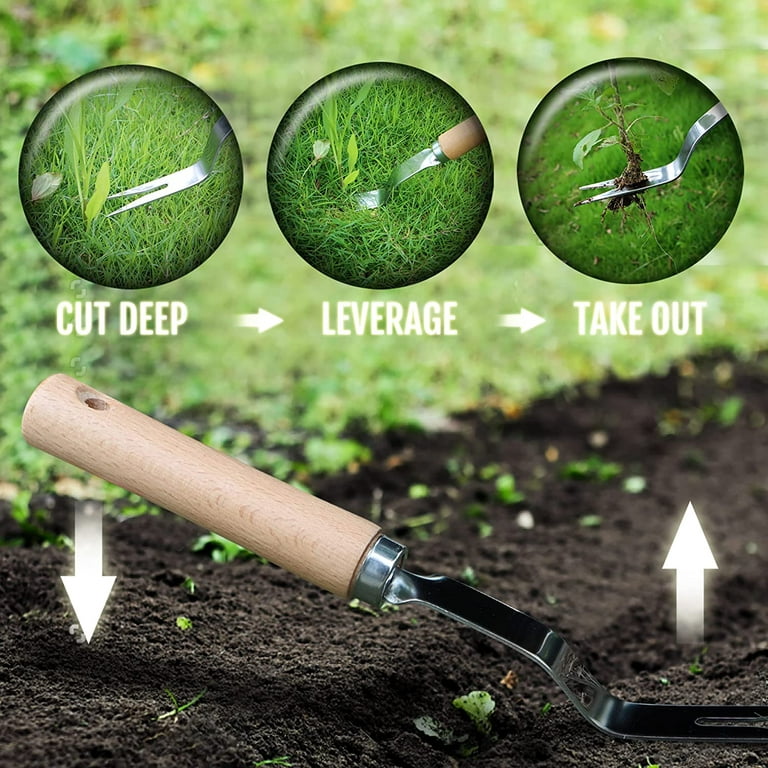 Betus Manual Weeder - Deep V Shape Weeding Tool for Root Puller, Bend-Proof Stainless Steel Super Easy Weed Removal & Deeper Digging - Compact Garden