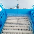 thumbnail image 3 of INTBUYING 256 Eggs Digital Egg Incubator Poultry Bird Hatcher with Egg Turning Blue (Pull-Out), 3 of 6