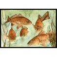 thumbnail image 1 of Carolines Treasures 8983MAT Tapis de Natation Poisson Rouge Intérieur Ou Extérieur - 18 x 27 Po., 1 of 4