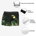 thumbnail image 6 of KLL Palm Leaves And Exotic Birds Men's Cotton Boxer Briefs Underwear-X-Large, 6 of 7