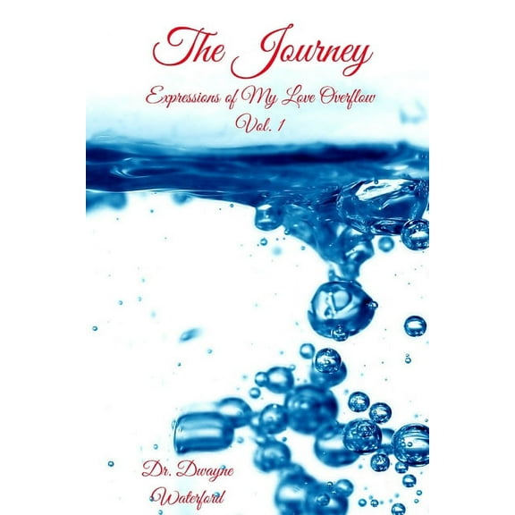 The Journey (Paperback)