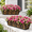 2 Pack-black-24 Inch, variant on 4 Pack-black 30 Inch Window Boxes Planters with Adjustable Brackets and Coco Liners