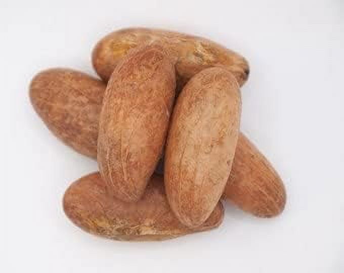 Organic Garcinia Kola/Bitter Kola Nuts 1/2LB