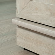 Sauder HomePlus 2-Door Storage Cabinet, Chalked Chestnut Finish