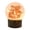 Animals, variant on Stony Creek 6.00In Stinkin' Cute Animal Pre-Lit Dome Vase, Glass, Baby Gift Child Room Skr9255sccl Animals