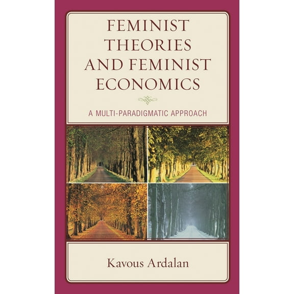 Feminist Theories and Feminist Economics: A Multi-Paradigmatic Approach, (Hardcover)