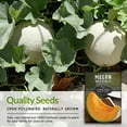 thumbnail image 7 of 2 Packs Hale's Best Melon Seeds - Non-GMO Heirloom Full Sun Annual Vegetable, 7 of 7
