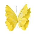 thumbnail image 1 of Decoración de fiesta de mariposas Decoración de fiesta Adorno único Mariposa gigante para Amarillo, 1 of 9