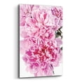 thumbnail image 2 of Epic Art 'Pink Peony Cluster' by Elise Catterall, Acrylic Glass Wall Art, 12"x16", 2 of 8