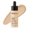 thumbnail image 1 of Dermablend Perfect Creator, Fond de Teint Léger 15C, 1 of 7