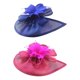 thumbnail image 1 of 2 uds sombrero de malla para mujer cóctel fiesta de té pastillero sombrero Kentucky Derby azul rosa rojo Zulema sombrero tocado, 1 of 8