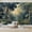Color 2, variant on Wallpaper Magical Forest Glowing Fireflies Colorful Wildflowers Woodland Peel and Stick Wall Murals 69"H x 96"W Removable PVC Wall Paper Self-Adhesive Wall Paintings Art Decor for Bedroom Living Room
