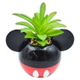 thumbnail image 2 of Maceta Decorativa Cerámica con Planta Artificial, Diseño Mickey Mouse en 3D, Maceta Decorativa para Hogar, Escuela u Oficina, 2 of 4