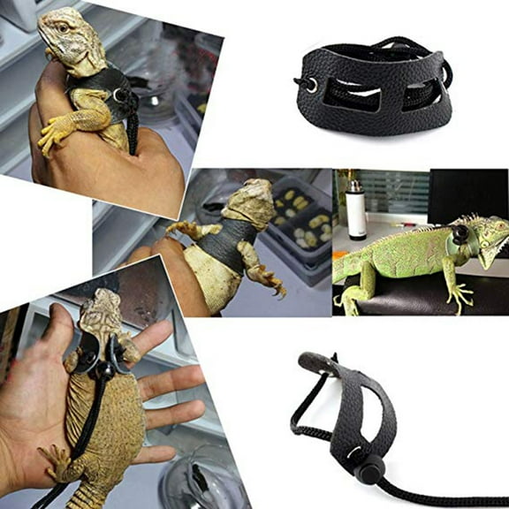 CRILSTYLEO 3Pcs Safe Durable Reptile Lizard Harness Black with Adjustable Chest Leashes and Rope