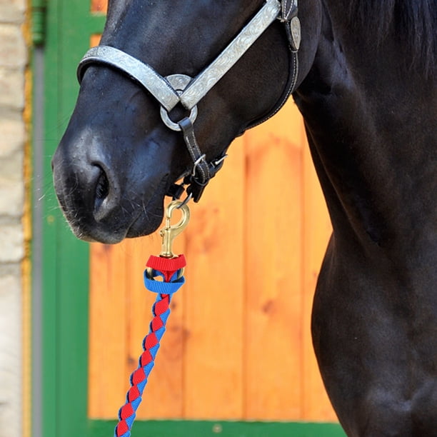 Longe à Cheval En Cuir Marron Avec Chaîne – Équitation – Occasion
