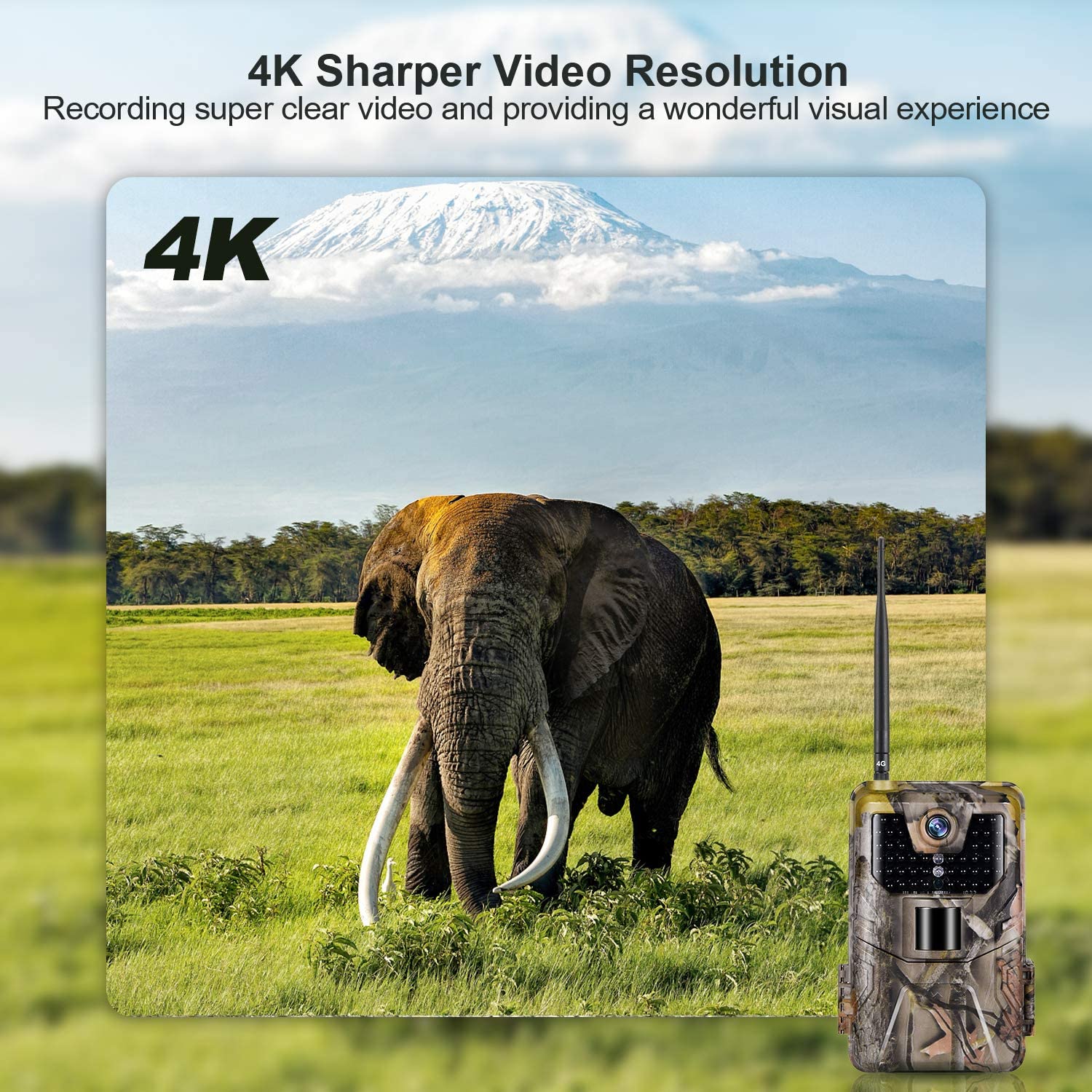 SuntekCam 4G Cellular Trail Camera - 36MP 4K Wildlife Hunting Cameras With Night Vision APP Control