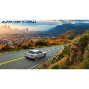 Michelin E Primacy All Season 255/45R19 104W XL Sansujyuku sansujyuku.com