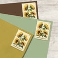 thumbnail image 3 of Sunflowers USPS Forever Postage Stamp 1 Book of 20 US First Class Mail Flowers Wedding Announcement Celebrate Garden (20 Stamps), 3 of 3