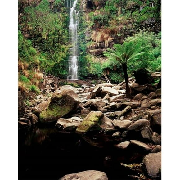 Danita Delimont PDDAU01WBI0688B Erskine Falls Lorne Victoria Australia Poster Print by Walter Bibikow, 16 x 20
