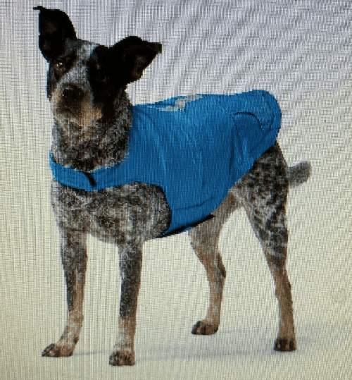 free country dog down coat