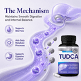 thumbnail image 4 of Lilymoon TUDCA Supplement, Tauroursodeoxycholic Acid for Wellness, 120 Capsules, 4 of 10