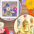 thumbnail image 5 of Juego de 6 flores secas prensadas, velas de flores y plantas, Molde de resina epoxi, Material decorativo, paquete de manualidades, 5 of 5