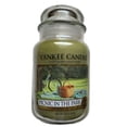 thumbnail image 2 of Yankee Candle PICNIC IN THE PARK Large Single Wick Original Retired Jar Candle 22oz, 2 of 3