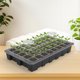 thumbnail image 2 of Gardzen - Juego de 5 bandejas de iniciaci&oacute;n de semillas, bandejas duraderas para germinaci&oacute;n de plantas con c&uacute;pulas y bases ventiladas con humedad, ideal para inicio d, 2 of 7