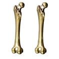 thumbnail image 1 of 2pcs Decorative Small Bone Pendant Brass Bone Hanging Decor Keychain Pendant, 1 of 7