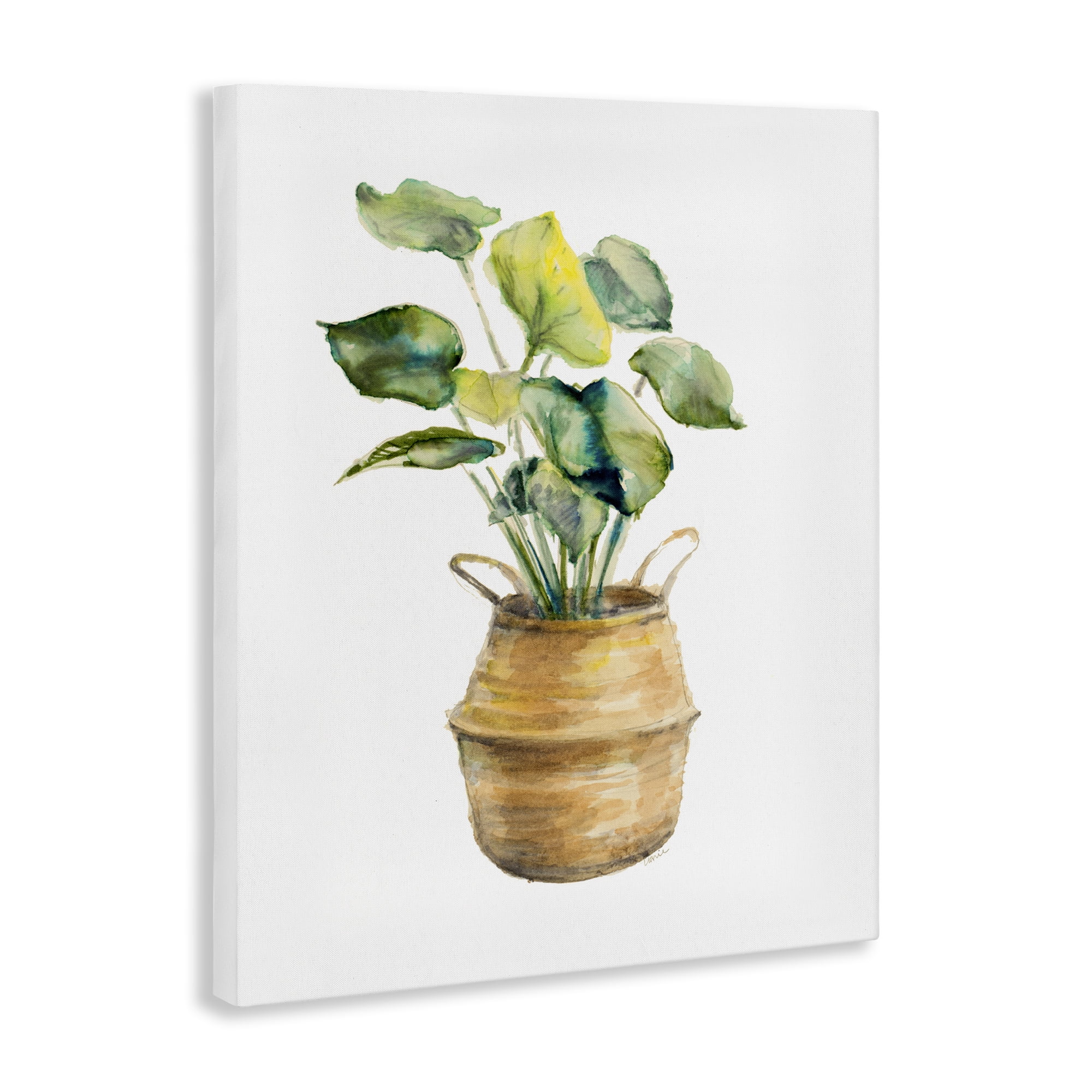 Stupell Industries Plant In Pottery Botanical & Floral Painting Gallery Wrapped Canvas Art Print Wall Art, 16 x 20