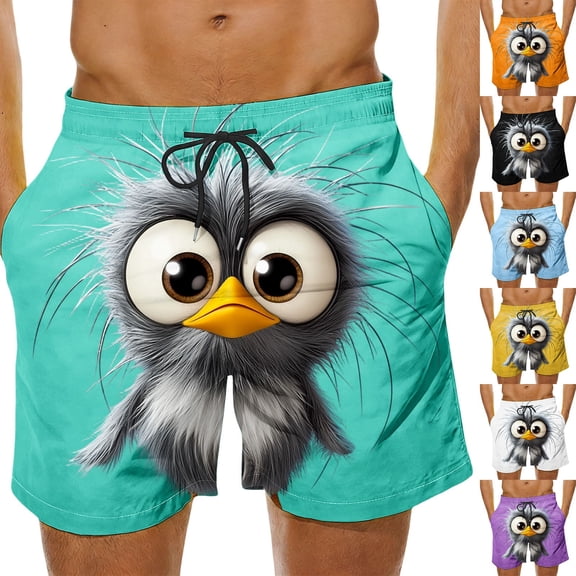 BRGZLK Mens Beach Shorts Summer Drawstring Waist Funny Big Eyed Bird Expression Print Summer Swim Trunks Novelty Beachwear Vacation Shorts with Pockets