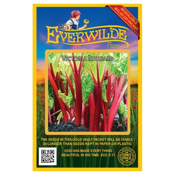 Everwilde Farms - 50 Victoria Rhubarb Seeds - Gold Vault Jumbo Bulk Seed Packet