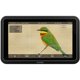 thumbnail image 3 of Monitor HDMI HDR Atomos Shinobi II 5.2", 3 of 9