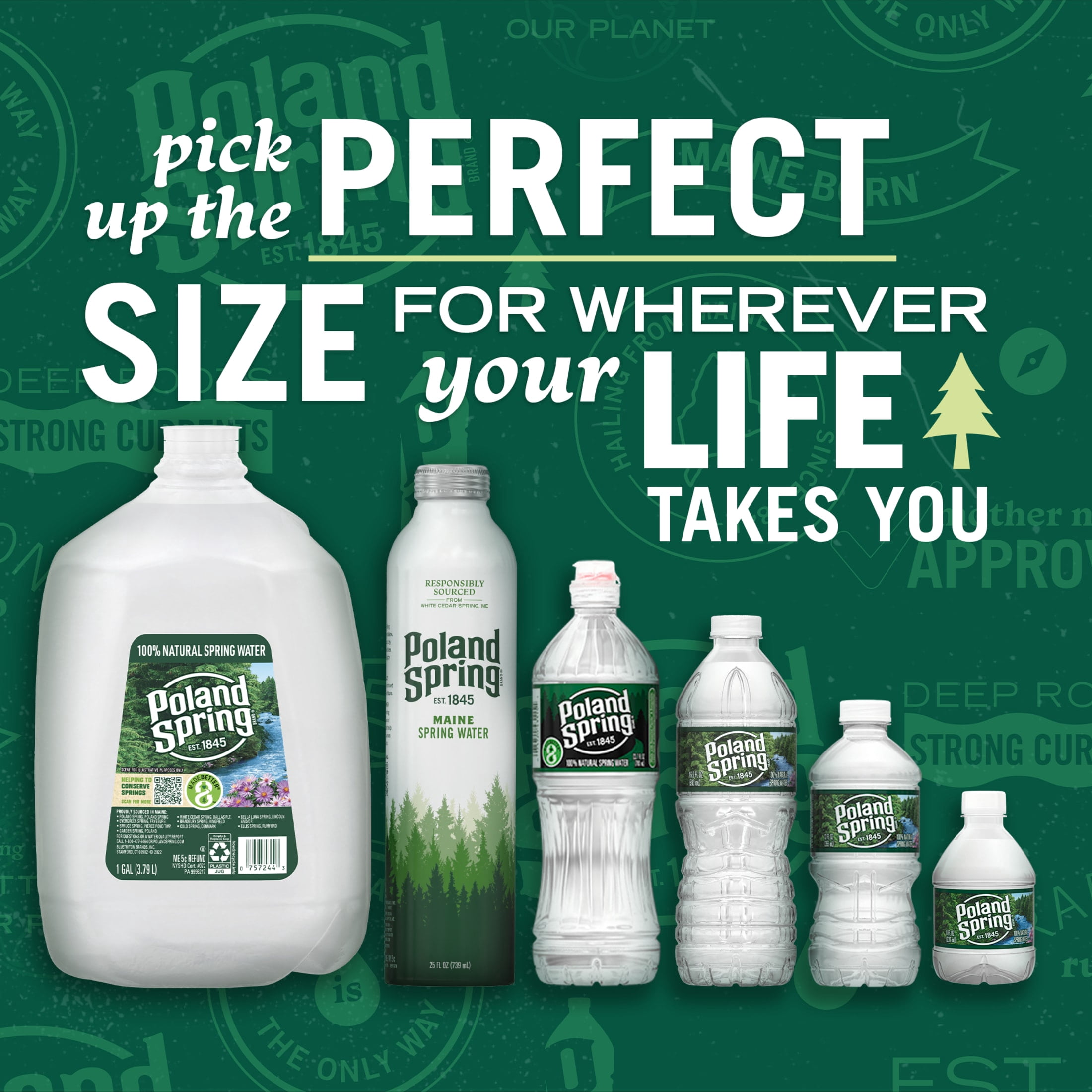 (2 pack) Poland Spring Maine Spring Water, 12 Fl Oz, 12-Pack Plastic Bottles