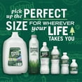 thumbnail image 5 of (2 pack) Poland Spring Maine Spring Water, 12 Fl Oz, 12-Pack Plastic Bottles, 5 of 13