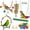 Set4, variant on CHBORLESS Bird Parakeet Toy for Swing Hanging Standing Chewing Hammock Bell Toy,6 Pack (Set1)