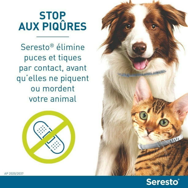 Collar antipulgas de goma, protección de 6 meses, prevención de alergias para perros y gatos, 2 uds.