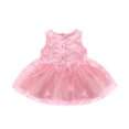thumbnail image 4 of Odeerbi Cute Princess Tulle Dresses For Girls Newborn Toddler Baby Clothes Embroidery Lace Mesh Dress Set Pink, 4 of 7