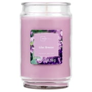 Mainstays Lilac Breeze Scented Single-Wick Large Glass Jar Candle, 20 oz