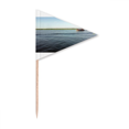 thumbnail image 1 of Willow Wind Art Deco  Fashion Toothpick Triangle Cupcake Toppers Flag, 1 of 3