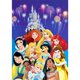 thumbnail image 1 of Taladro completo Kit de imagen de mosaico DIY Princesa 5D Diamante de imitación Diamante Pintura Póster FLhrweasw Nuevo, 1 of 9