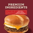 thumbnail image 3 of Jimmy Dean Protein Breakfast, Burger, Egg, Cheese Brioche, Fully Cooked Frozen Sandwiches, 2 Count, 3 of 17