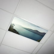 Octo Lights - Fluorescent Light Covers - 2x4 Flexible Decorative Light Diffuser Panels - Landscape - For Classrooms and Offices - Landscape 001