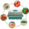 thumbnail image 2 of Macetas Y Plantación, Paquete De 4 Bandejas De Semillas Con Tapas, Bandeja De Propagación De Plantas De 12 Celdas, Kit De Inicio De Plántulas Ajustable Para Humedad, Caja De Germinación De Plantas Con Muyoka Hogar, 2 of 6