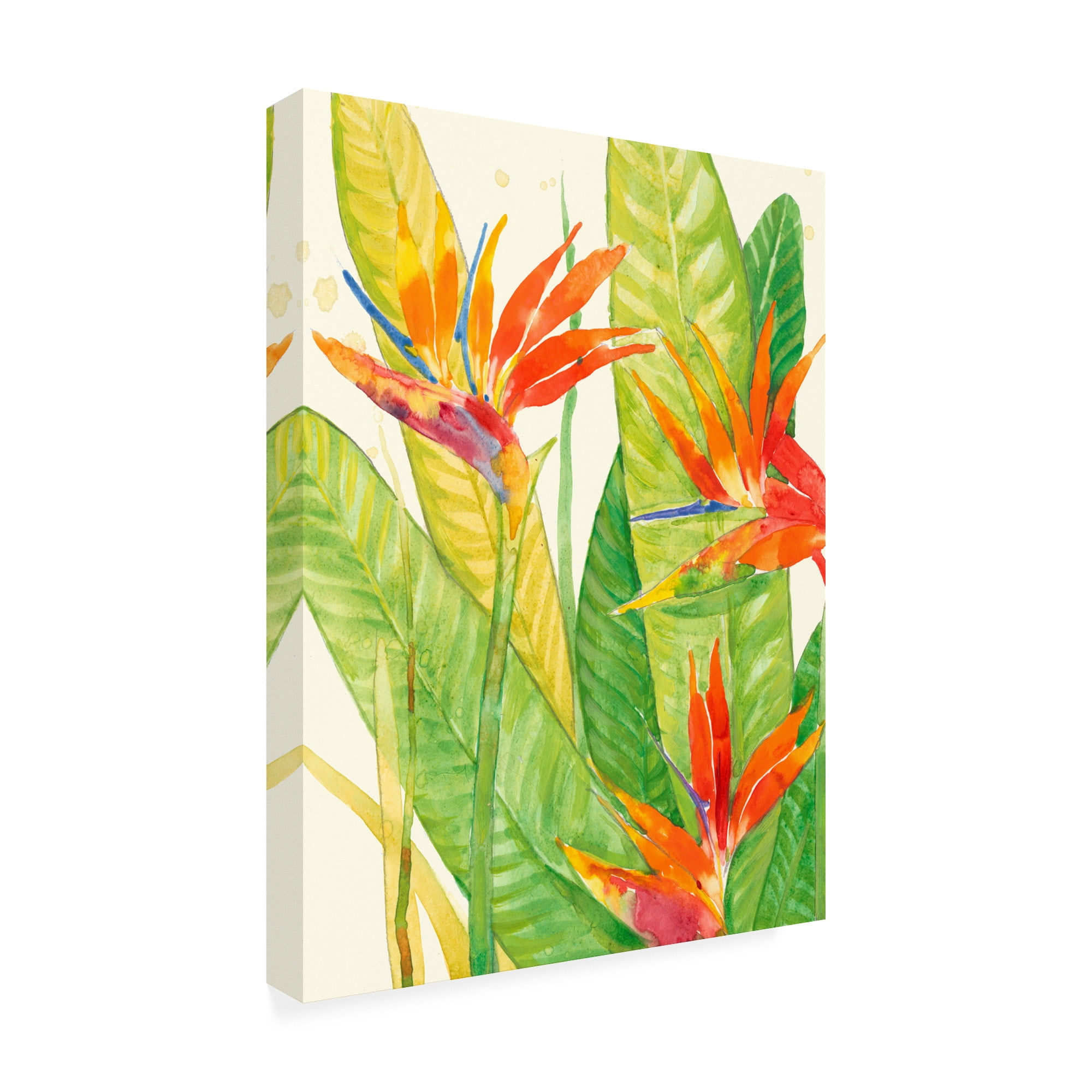 Trademark Fine Art 'Watercolor Tropical Flowers III' Canvas Art by Tim OToole
