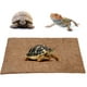 thumbnail image 1 of Alfombra de fibra de coco para reptiles, base para terrario de lagartos, almohadilla para paisajismo., 1 of 13