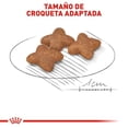 thumbnail image 4 of Royal Canin Alimento para perro raza chica adulto 13.6kg, 4 of 6